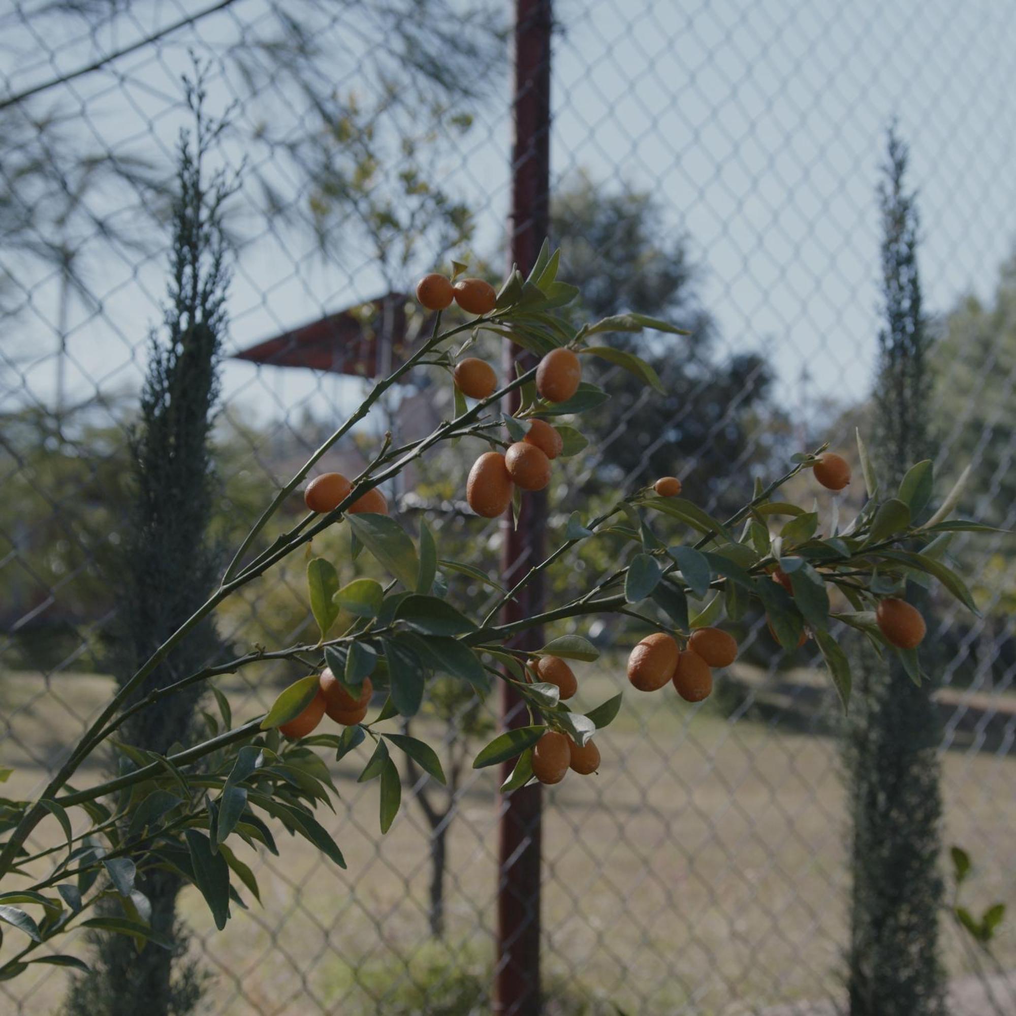Finca La Cumbre 特帕蒂特兰 外观 照片